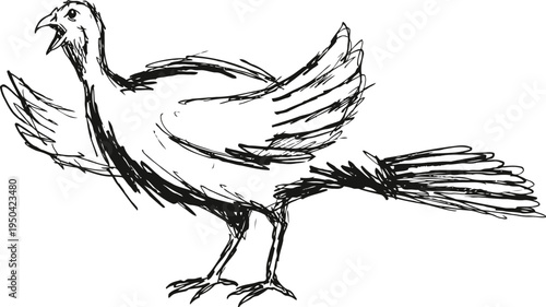 sketch of a bird with wings spread and long tail feathers in dynamic pose