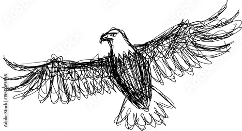 Abstract sketch of an eagle with outstretched wings in flight, black ink drawing on white background