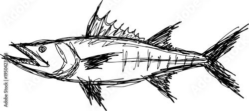 Hand drawn tuna fish illustration marine animal sketch with detailed fins and scales in black ink