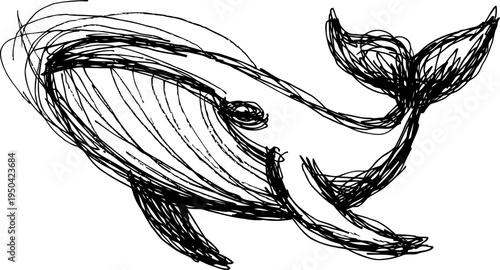 hand drawn whale sketch ink drawing of a large marine animal with detailed fins and tail