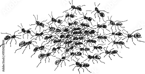black ants group clustering and moving together insect colony teamwork and nature behavior close up