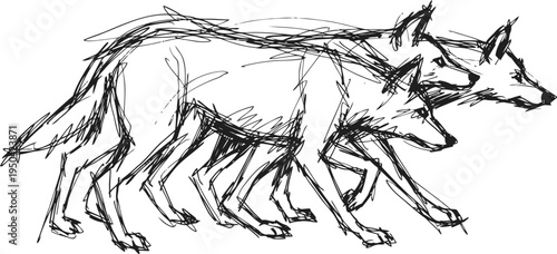 two sketch wolves walking side by side in a rough black ink drawing