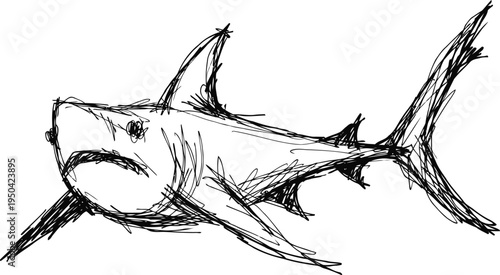 Sketch of a fierce shark with sharp fins and a pointed tail in black ink drawing