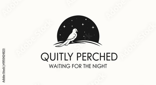 A stylized bird rests on a curved line beneath a starry night sky