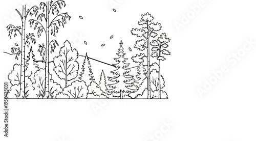 A stylized black and white line drawing depicts a dense forest with various trees and falling leaves