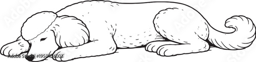 Standard Poodle Sleeping on Side Relaxed Pose Black and White Line Art Illustration