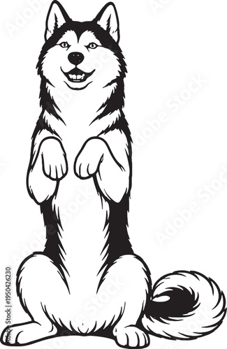 Siberian Husky Sitting Beg Pose Front View Black and White Line Art Illustration