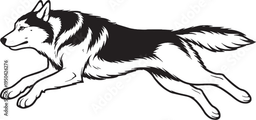 Siberian Husky Running Sprint Side View Black and White Line Art Illustration