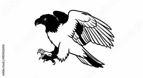 Black and white illustration of a bird of prey with wings spread