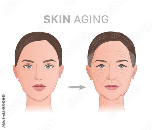 Aging Skin Concept – Young and Old Woman Face Comparison, Wrinkles and Anti Aging Skincare Illustration