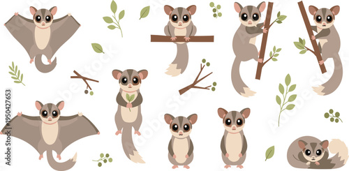 Sugar Glider Cartoon Character Set Featuring Gliding, Climbing, Sitting, and Sleeping Poses of Cute Australian Flying Possum in Forest Habitat.