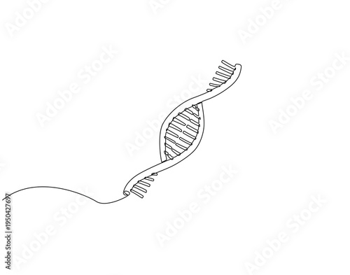 Continuous line drawing of DNA. Single line illustration of DNA. DNA molecule structure concept. Editable outline