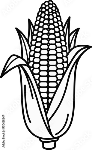 A stylized, outline drawing of a single ear of corn with husks