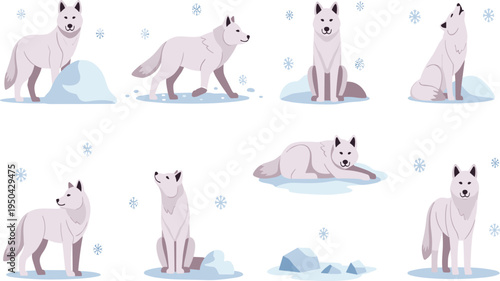 White Arctic Wolf Illustration Collection Showing Different Animal Poses in Polar Snow Landscape with Ice, Snowflakes, and Winter Wildlife Environment.
