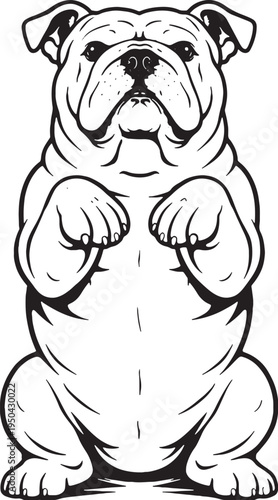 English Bulldog Sitting Beg Pose Front View Black and White Line Art Illustration