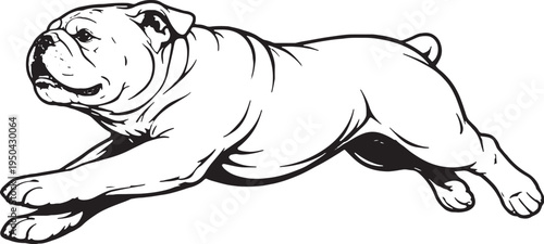 English Bulldog Running Sprint Side View Black and White Line Art Illustration