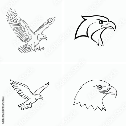 Black and white illustrations of eagles in various flying and head positions
