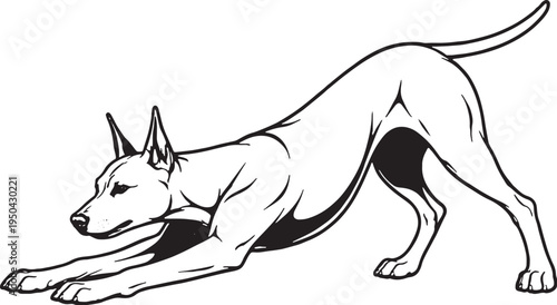 Doberman Pinscher Play Bow Pose Black and White Line Art Illustration