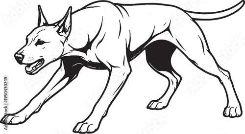 Doberman Pinscher Growling Low Guard Stance Black and White Line Art Illustration