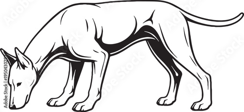 Doberman Pinscher Eating Posture Side View Black and White Line Art Illustration