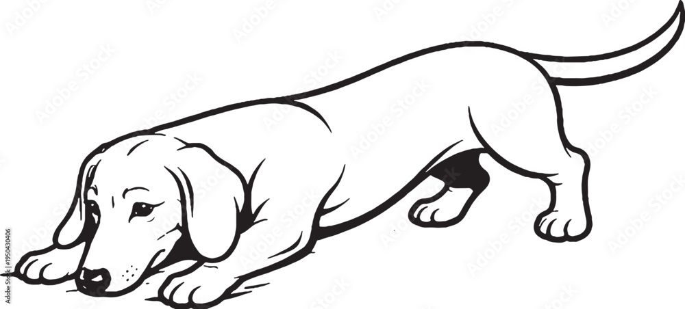 Obraz premium Dachshund Digging Action Three Quarter View Black and White Line Art Illustration