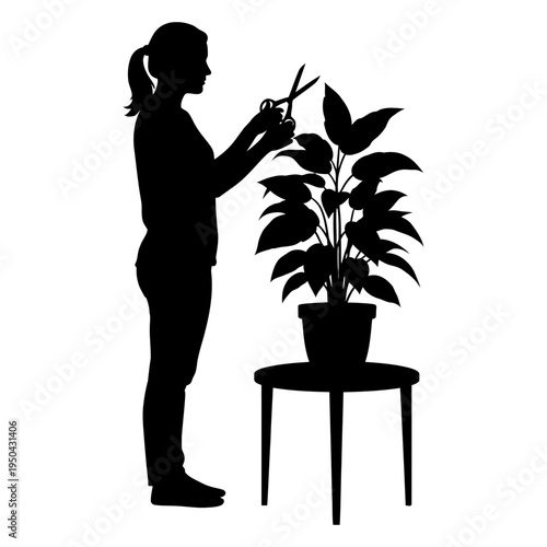 Silhouette of a woman pruning a potted houseplant with scissors, representing gardening hobbies, plant care, and domestic wellness.