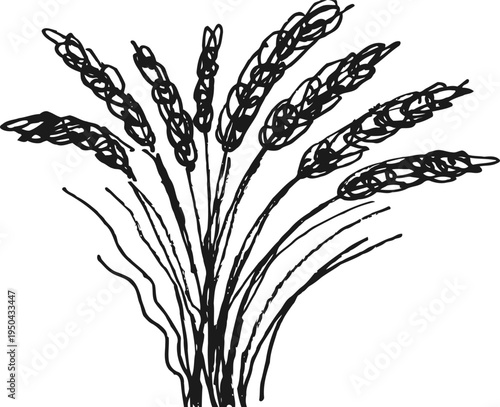 bundle of wheat stalks illustration agricultural cereal grain plant with ears and long stems