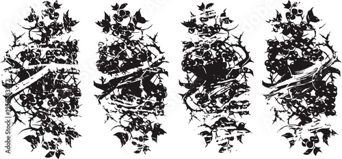 vintage botanical illustration set of various berry branches with leaves and fruits isolated on white background