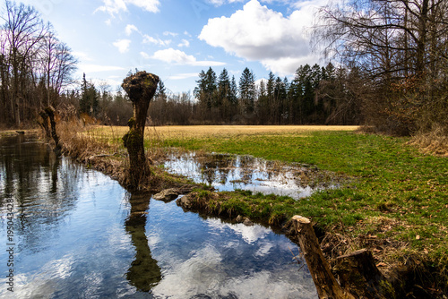Konstfotografi Small Stream with Pollarded Willow and Flooded Meadow Landscape