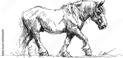 sketch of a walking horse hand drawn rustic animal illustration in black and white