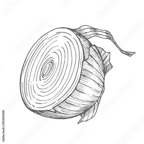 Half of the onion. Vector ink styled handmade illustration. For packaging design, cards, cover, prints, product labels and fabric.