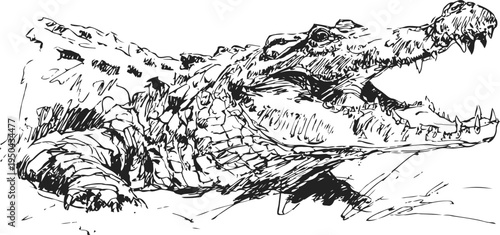 Sketch of a crocodile with open mouth and detailed scaly texture in black and white