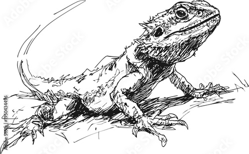 Detailed hand drawn lizard illustration with textured scales and natural posture on white background