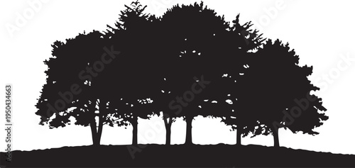 Silhouette of a cluster of trees on a grassy mound