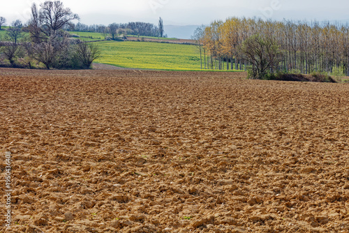 Quadro em tela Champ labouré en automne