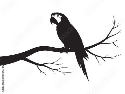 A black and white vector illustration of an eagle silhouette perched on a wild tree branch with detailed wings and beak isolated against a nature background