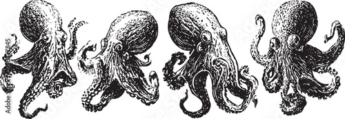 Vintage black and white octopus illustrations set with detailed tentacles and textured bodies