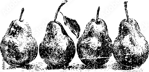 Four ripe pears arranged in a row with natural texture and leaf detail on a white background