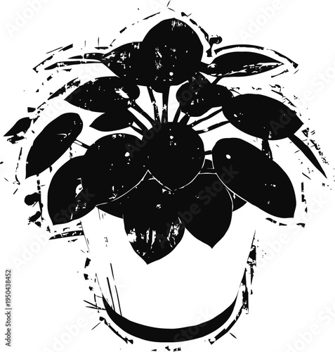 green potted houseplant with round leaves growing in a simple pot indoors, natural home decor