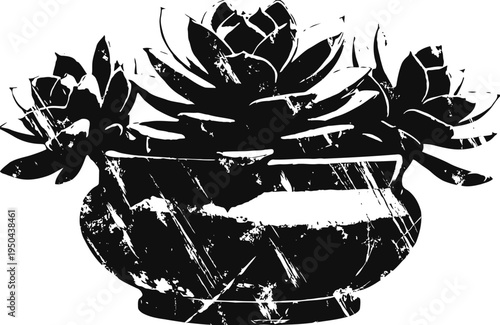 Succulent plants in round ceramic pot with distressed vintage texture and botanical elements