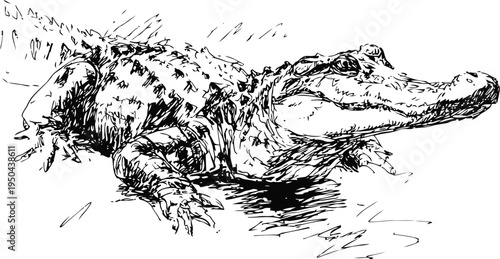 Alligator lying on muddy ground with detailed rough skin and textured scales ink drawing