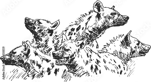 Group of spotted hyenas resting and alert in grassland animal wildlife illustration
