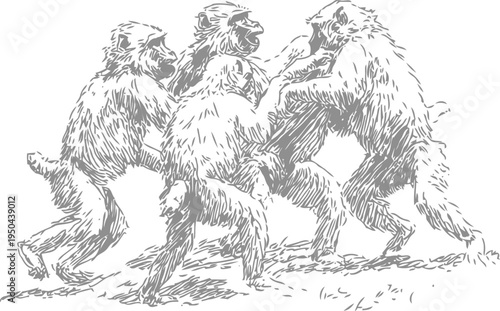 Four monkeys interacting playfully in a natural setting, detailed sketch illustration