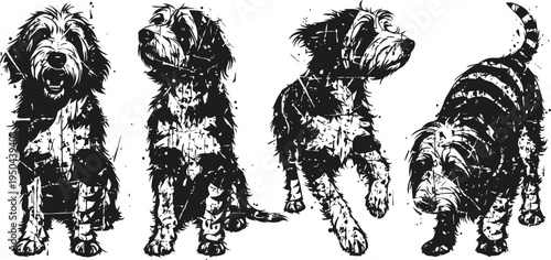 Four sketches of shaggy dogs in different playful sitting and standing poses