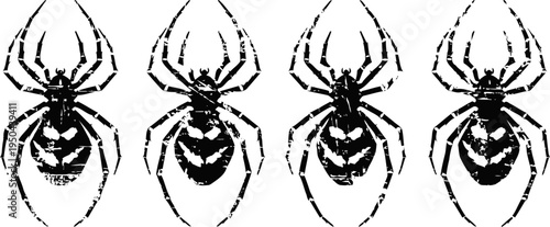 Four black widow spiders in a row with detailed bodies and legs on white background