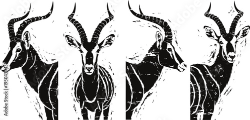 stylized vector illustration of four antelope heads with long curved horns in black and white design