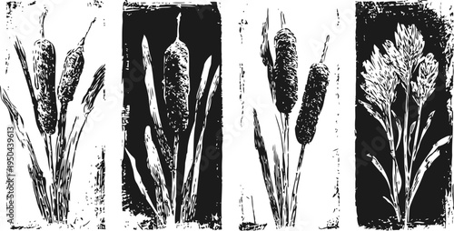Vintage cattail and marsh plant illustrations botanical black and white ink drawings nature wetland vegetation artwork set