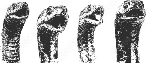 multiple snake heads with open mouths in black and white high contrast