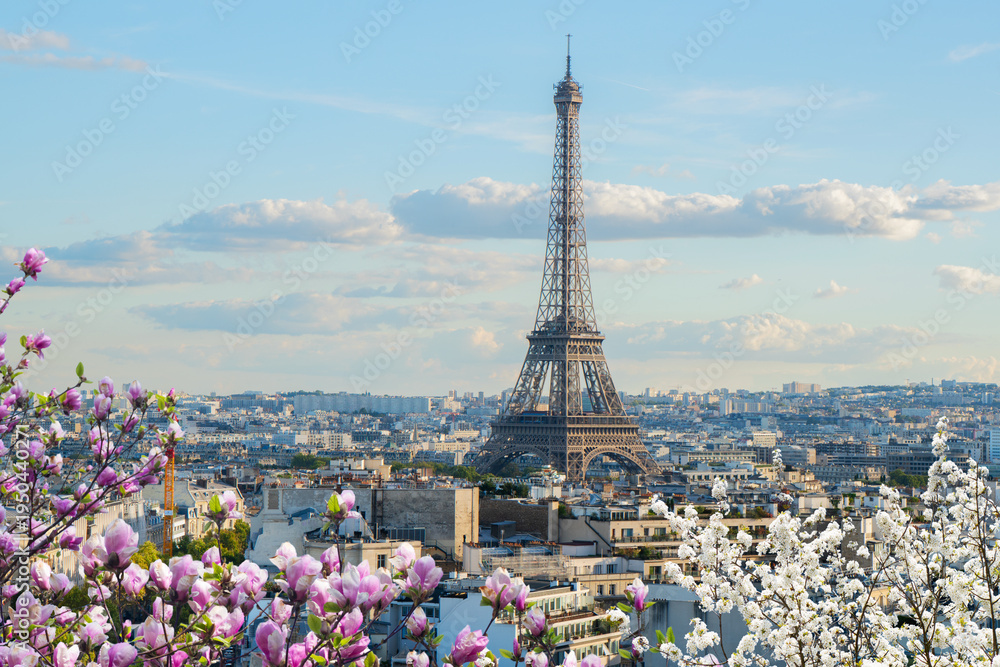 custom made wallpaper toronto digitaleiffel tour and Paris cityscape