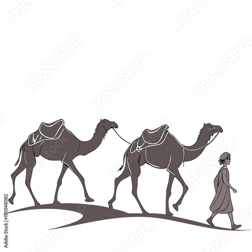 A man walks next to two camels